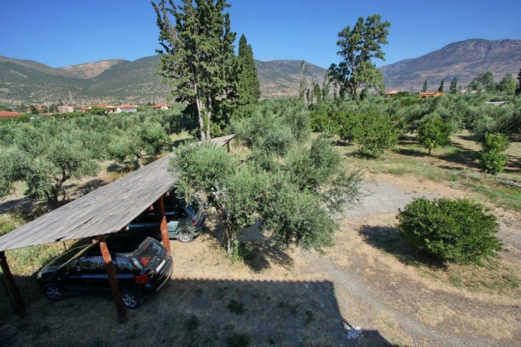 Holiday Tolofona Beach Eratiní Cameră foto